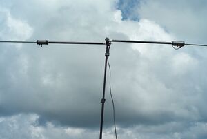 Buddipole 2.jpg