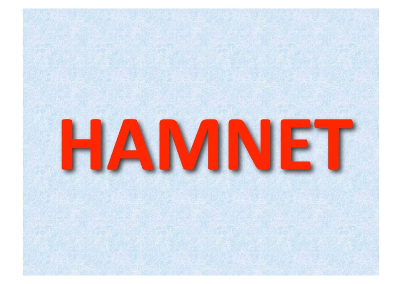 Datei:DMR DSTAR C4FM HAMNET.pdf